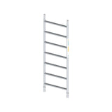 Rolsteiger Basic 90x245 6,2m werkhoogte CarbonDeck